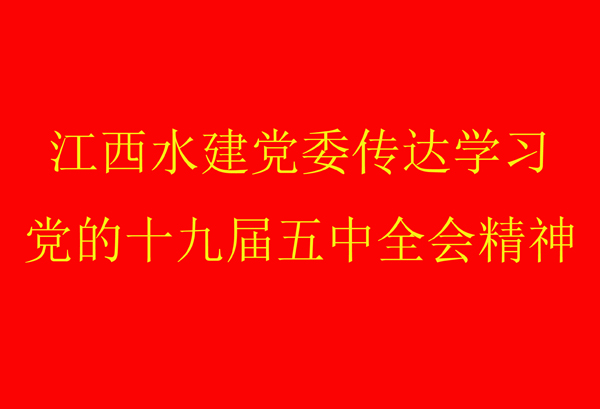 20201117094638520